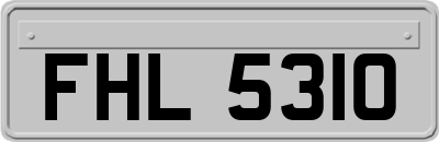 FHL5310