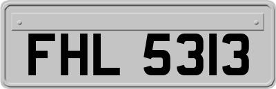 FHL5313
