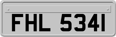 FHL5341
