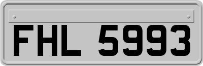 FHL5993