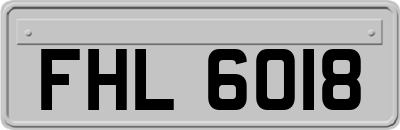 FHL6018