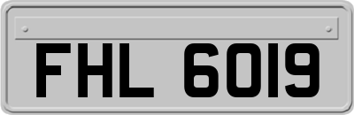 FHL6019