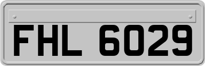 FHL6029