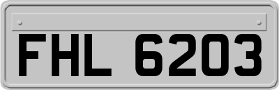 FHL6203