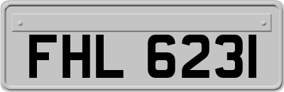 FHL6231