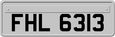 FHL6313