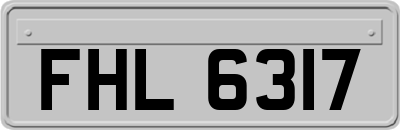 FHL6317