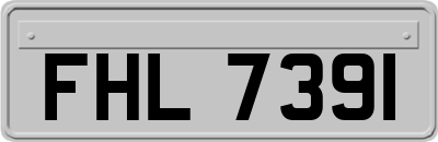 FHL7391
