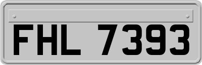 FHL7393