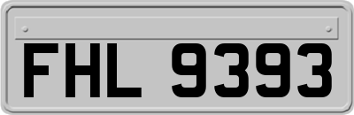 FHL9393