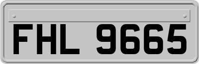 FHL9665