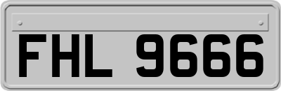FHL9666
