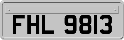 FHL9813
