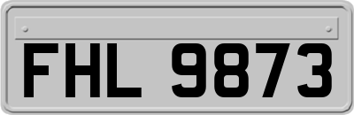 FHL9873