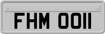 FHM0011