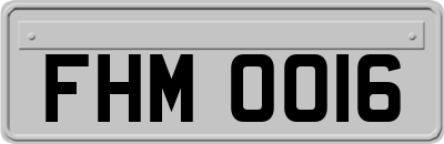 FHM0016