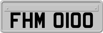 FHM0100