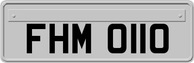 FHM0110