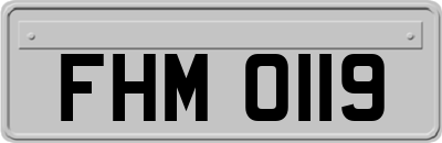 FHM0119