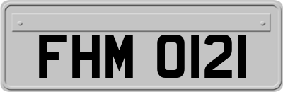 FHM0121