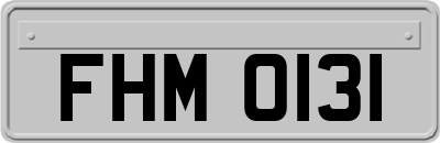 FHM0131