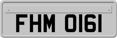 FHM0161
