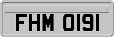 FHM0191