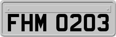 FHM0203