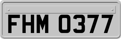 FHM0377