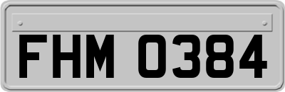 FHM0384