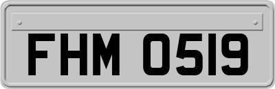 FHM0519