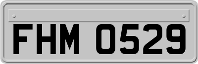 FHM0529
