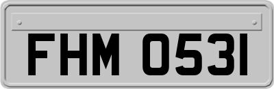 FHM0531