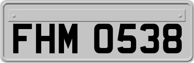 FHM0538