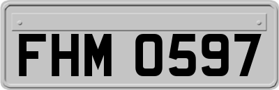FHM0597
