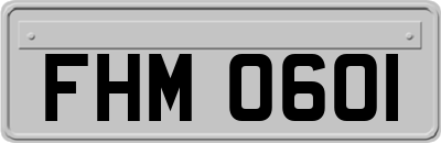FHM0601