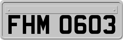 FHM0603