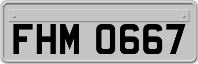 FHM0667