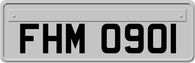 FHM0901