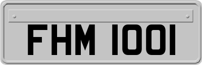 FHM1001