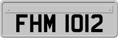 FHM1012