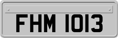 FHM1013