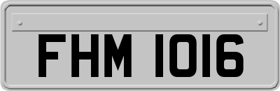 FHM1016
