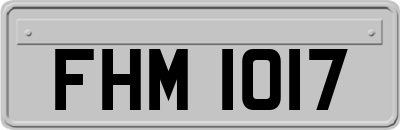 FHM1017