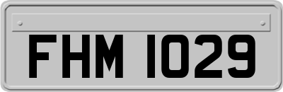 FHM1029