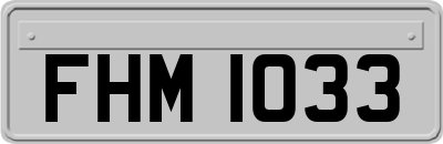 FHM1033
