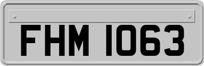 FHM1063