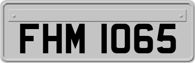FHM1065