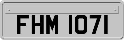 FHM1071