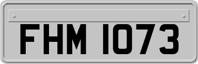 FHM1073